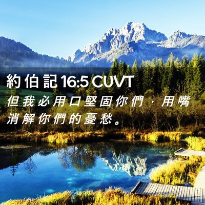 Picture 02 - 約 伯 記 16:5 CUVT - 但 我 必 用 口 堅 固 你 們 ， 用 嘴 - Bible Verse Picture