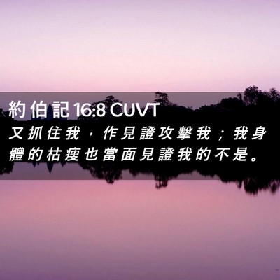 Picture 02 - 約 伯 記 16:8 CUVT - 又 抓 住 我 ， 作 見 證 攻 擊 我 ； - Bible Verse Picture