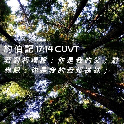 Picture 02 - 約 伯 記 17:14 CUVT - 若 對 朽 壞 說 ： 你 是 我 的 父 ； - Bible Verse Picture
