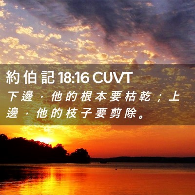 Picture 02 - 約 伯 記 18:16 CUVT - 下 邊 ， 他 的 根 本 要 枯 乾 ； 上 - Bible Verse Picture