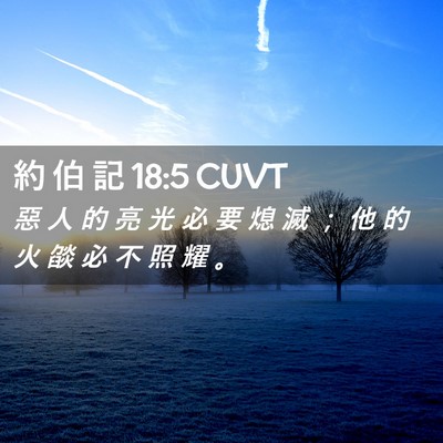 Picture 02 - 約 伯 記 18:5 CUVT - 惡 人 的 亮 光 必 要 熄 滅 ； 他 的 - Bible Verse Picture