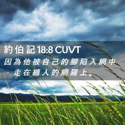 Picture 02 - 約 伯 記 18:8 CUVT - 因 為 他 被 自 己 的 腳 陷 入 網 中 - Bible Verse Picture