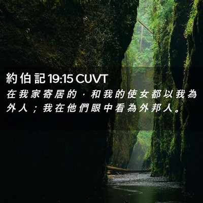 Picture 02 - 約 伯 記 19:15 CUVT - 在 我 家 寄 居 的 ， 和 我 的 使 女 - Bible Verse Picture
