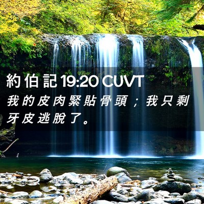 Picture 02 - 約 伯 記 19:20 CUVT - 我 的 皮 肉 緊 貼 骨 頭 ； 我 只 剩 - Bible Verse Picture