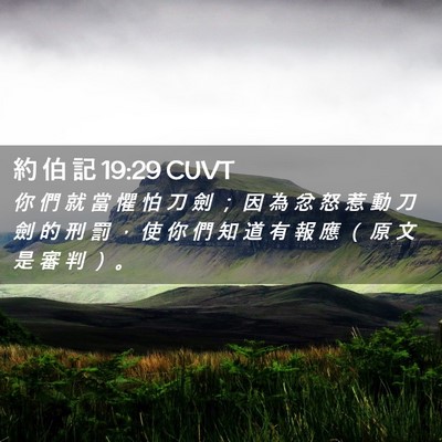 Picture 02 - 約 伯 記 19:29 CUVT - 你 們 就 當 懼 怕 刀 劍 ； 因 為 忿 - Bible Verse Picture