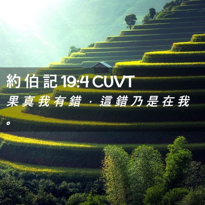 Picture 02 - 約 伯 記 19:4 CUVT - 果 真 我 有 錯 ， 這 錯 乃 是 在 我 - Bible Verse Picture