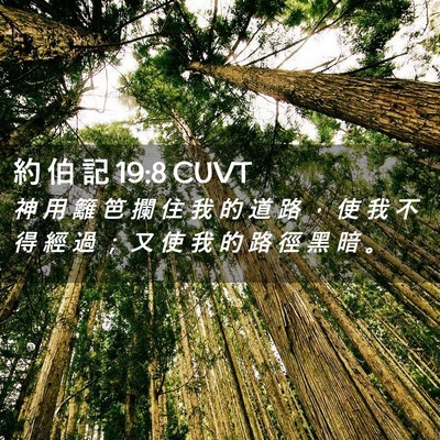 Picture 02 - 約 伯 記 19:8 CUVT - 神 用 籬 笆 攔 住 我 的 道 路 ， 使 - Bible Verse Picture