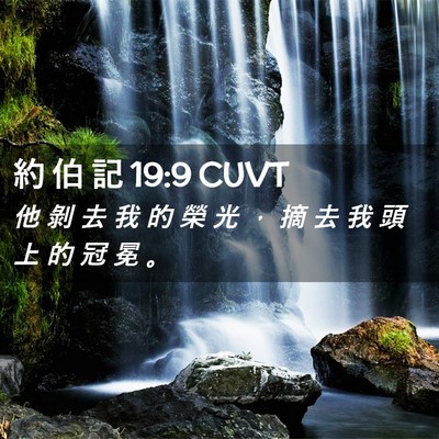 Picture 02 - 約 伯 記 19:9 CUVT - 他 剝 去 我 的 榮 光 ， 摘 去 我 頭 - Bible Verse Picture