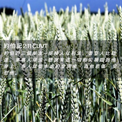 Picture 02 - 約 伯 記 2:11 CUVT - 約 伯 的 三 個 朋 友 ─ 提 幔 人 以 - Bible Verse Picture
