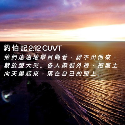 Picture 02 - 約 伯 記 2:12 CUVT - 他 們 遠 遠 地 舉 目 觀 看 ， 認 不 - Bible Verse Picture