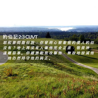 Picture 02 - 約 伯 記 2:3 CUVT - 耶 和 華 問 撒 但 說 ： 你 曾 用 心 - Bible Verse Picture