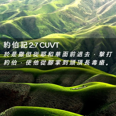 Picture 02 - 約 伯 記 2:7 CUVT - 於 是 撒 但 從 耶 和 華 面 前 退 去 - Bible Verse Picture