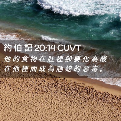 Picture 02 - 約 伯 記 20:14 CUVT - 他 的 食 物 在 肚 裡 卻 要 化 為 酸 - Bible Verse Picture