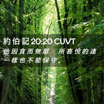 Picture 02 - 約 伯 記 20:20 CUVT - 他 因 貪 而 無 厭 ， 所 喜 悅 的 連 - Bible Verse Picture