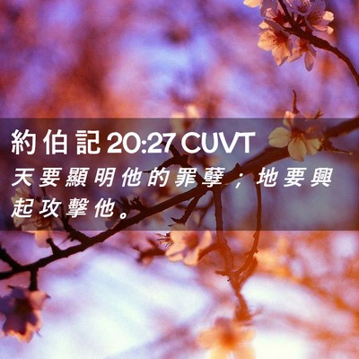 Picture 02 - 約 伯 記 20:27 CUVT - 天 要 顯 明 他 的 罪 孽 ； 地 要 興 - Bible Verse Picture