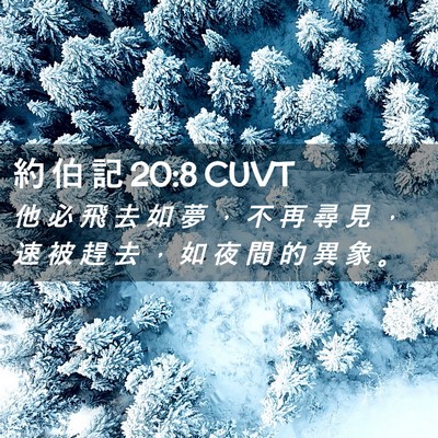 Picture 02 - 約 伯 記 20:8 CUVT - 他 必 飛 去 如 夢 ， 不 再 尋 見 ， - Bible Verse Picture