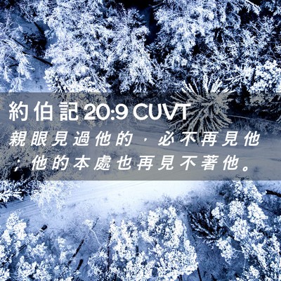 Picture 02 - 約 伯 記 20:9 CUVT - 親 眼 見 過 他 的 ， 必 不 再 見 他 - Bible Verse Picture