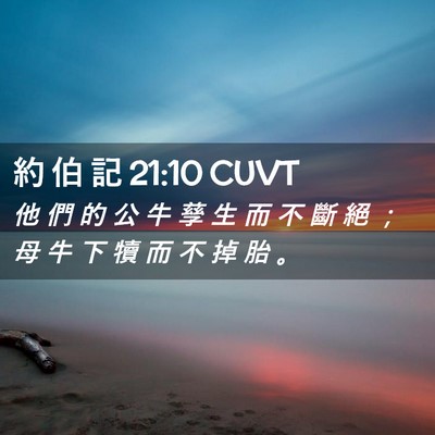 Picture 02 - 約 伯 記 21:10 CUVT - 他 們 的 公 牛 孳 生 而 不 斷 絕 ； - Bible Verse Picture