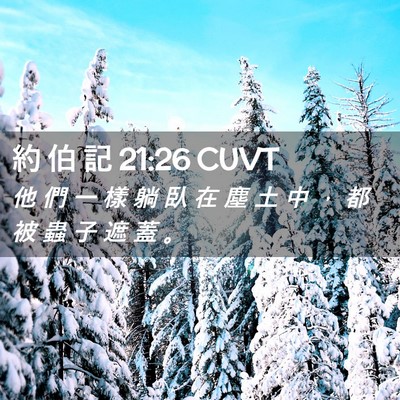 Picture 02 - 約 伯 記 21:26 CUVT - 他 們 一 樣 躺 臥 在 塵 土 中 ， 都 - Bible Verse Picture
