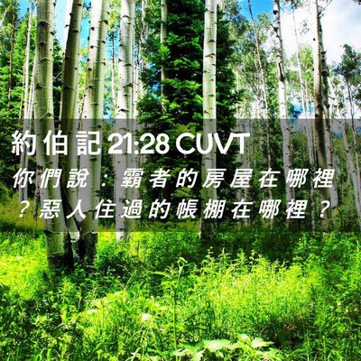 Picture 02 - 約 伯 記 21:28 CUVT - 你 們 說 ： 霸 者 的 房 屋 在 哪 裡 - Bible Verse Picture