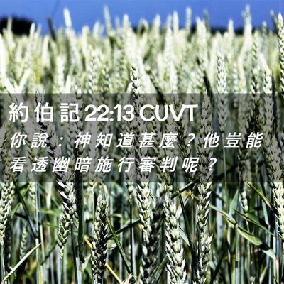 Picture 02 - 約 伯 記 22:13 CUVT - 你 說 ： 神 知 道 甚 麼 ？ 他 豈 能 - Bible Verse Picture