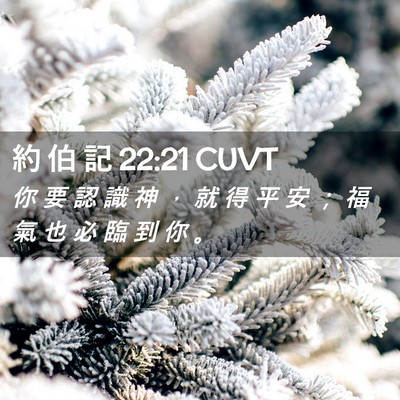 Picture 02 - 約 伯 記 22:21 CUVT - 你 要 認 識 神 ， 就 得 平 安 ； 福 - Bible Verse Picture