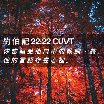 Picture 02 - 約 伯 記 22:22 CUVT - 你 當 領 受 他 口 中 的 教 訓 ， 將 - Bible Verse Picture