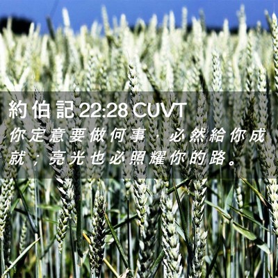 Picture 02 - 約 伯 記 22:28 CUVT - 你 定 意 要 做 何 事 ， 必 然 給 你 - Bible Verse Picture
