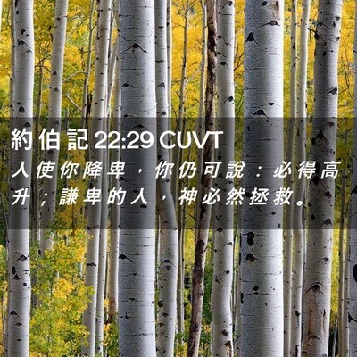 Picture 02 - 約 伯 記 22:29 CUVT - 人 使 你 降 卑 ， 你 仍 可 說 ： 必 - Bible Verse Picture