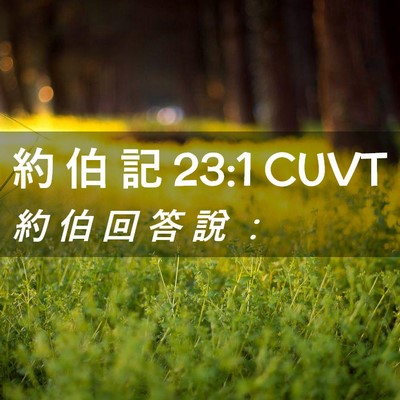 Picture 02 - 約 伯 記 23:1 CUVT - 約 伯 回 答 說 - Bible Verse Picture