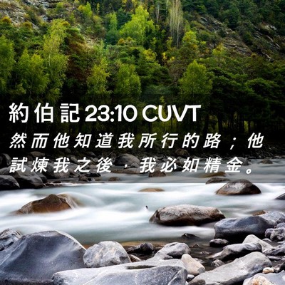 Picture 02 - 約 伯 記 23:10 CUVT - 然 而 他 知 道 我 所 行 的 路 ； 他 - Bible Verse Picture