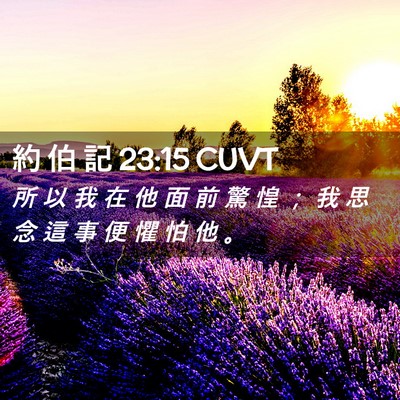 Picture 02 - 約 伯 記 23:15 CUVT - 所 以 我 在 他 面 前 驚 惶 ； 我 思 - Bible Verse Picture