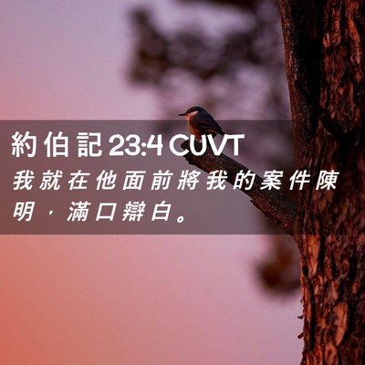 Picture 02 - 約 伯 記 23:4 CUVT - 我 就 在 他 面 前 將 我 的 案 件 陳 - Bible Verse Picture