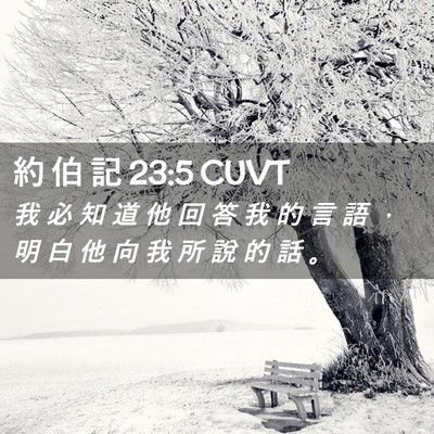 Picture 02 - 約 伯 記 23:5 CUVT - 我 必 知 道 他 回 答 我 的 言 語 ， - Bible Verse Picture