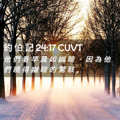 Picture 02 - 約 伯 記 24:17 CUVT - 他 們 看 早 晨 如 幽 暗 ， 因 為 他 - Bible Verse Picture