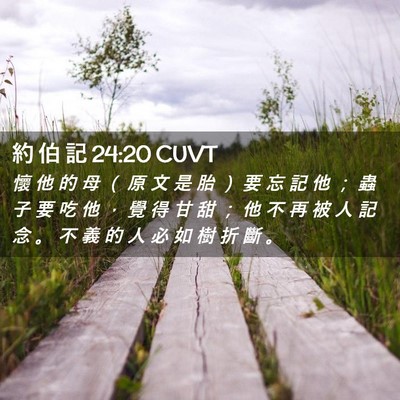 Picture 02 - 約 伯 記 24:20 CUVT - 懷 他 的 母 （ 原 文 是 胎 ） 要 忘 - Bible Verse Picture
