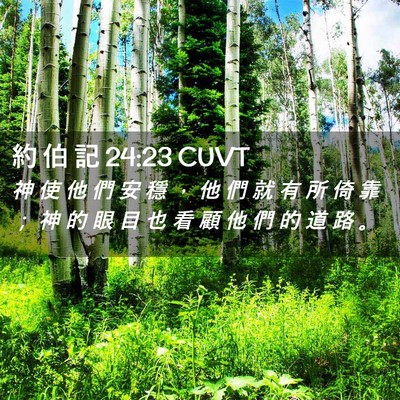 Picture 02 - 約 伯 記 24:23 CUVT - 神 使 他 們 安 穩 ， 他 們 就 有 所 - Bible Verse Picture
