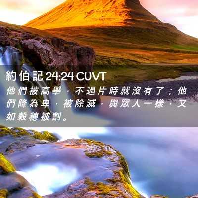 Picture 02 - 約 伯 記 24:24 CUVT - 他 們 被 高 舉 ， 不 過 片 時 就 沒 - Bible Verse Picture