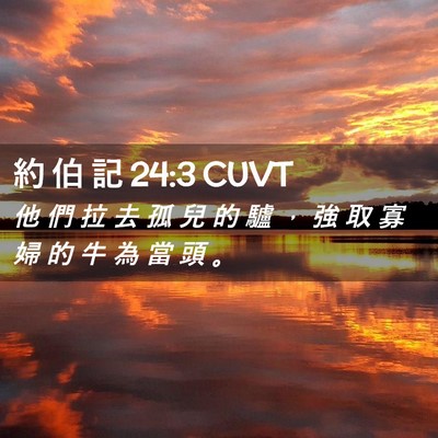 Picture 02 - 約 伯 記 24:3 CUVT - 他 們 拉 去 孤 兒 的 驢 ， 強 取 寡 - Bible Verse Picture