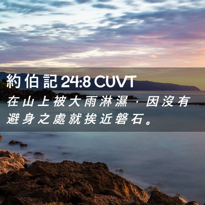Picture 02 - 約 伯 記 24:8 CUVT - 在 山 上 被 大 雨 淋 濕 ， 因 沒 有 - Bible Verse Picture