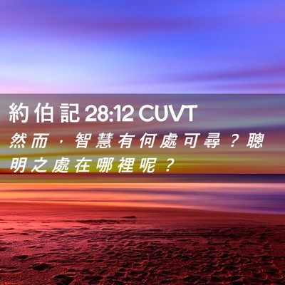 Picture 02 - 約 伯 記 28:12 CUVT - 然 而 ， 智 慧 有 何 處 可 尋 ？ 聰 - Bible Verse Picture
