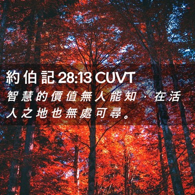 Picture 02 - 約 伯 記 28:13 CUVT - 智 慧 的 價 值 無 人 能 知 ， 在 活 - Bible Verse Picture