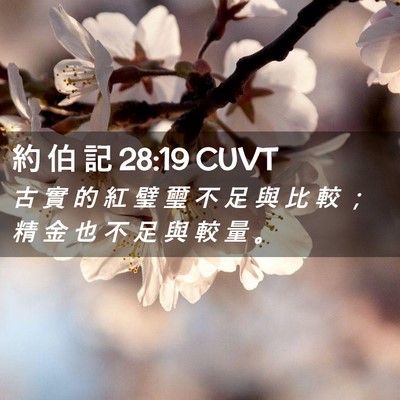 Picture 02 - 約 伯 記 28:19 CUVT - 古 實 的 紅 璧 璽 不 足 與 比 較 ； - Bible Verse Picture