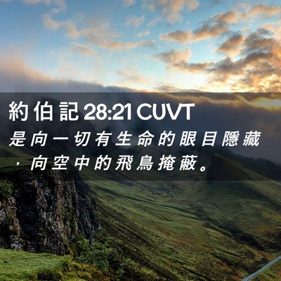 Picture 02 - 約 伯 記 28:21 CUVT - 是 向 一 切 有 生 命 的 眼 目 隱 藏 - Bible Verse Picture