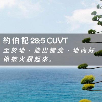 Picture 02 - 約 伯 記 28:5 CUVT - 至 於 地 ， 能 出 糧 食 ， 地 內 好 - Bible Verse Picture