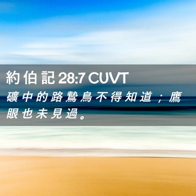 Picture 02 - 約 伯 記 28:7 CUVT - 礦 中 的 路 鷙 鳥 不 得 知 道 ； 鷹 - Bible Verse Picture