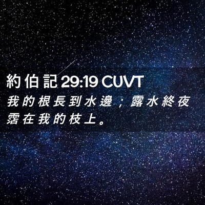 Picture 02 - 約 伯 記 29:19 CUVT - 我 的 根 長 到 水 邊 ； 露 水 終 夜 - Bible Verse Picture