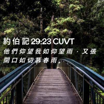 Picture 02 - 約 伯 記 29:23 CUVT - 他 們 仰 望 我 如 仰 望 雨 ， 又 張 - Bible Verse Picture