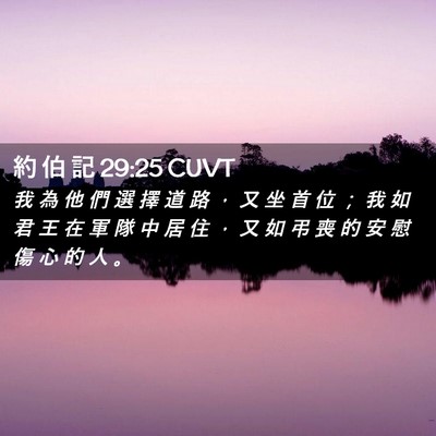 Picture 02 - 約 伯 記 29:25 CUVT - 我 為 他 們 選 擇 道 路 ， 又 坐 首 - Bible Verse Picture