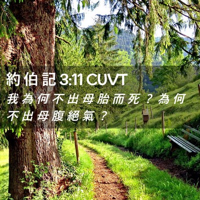 Picture 02 - 約 伯 記 3:11 CUVT - 我 為 何 不 出 母 胎 而 死 ？ 為 何 - Bible Verse Picture